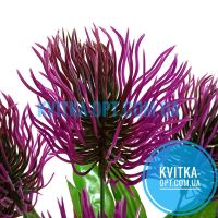 y7053 Букет пластик 10 голов 16шт