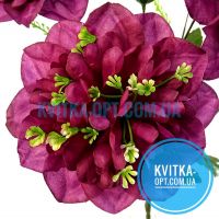 y7011 Георгины 10шт