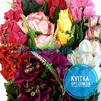 y7011 Георгины 10шт