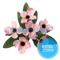 y7004 Примула 40шт