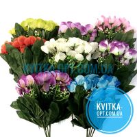 y7004 Примула 40шт