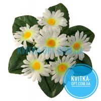 y7002 Ромашки бордюрные 40шт