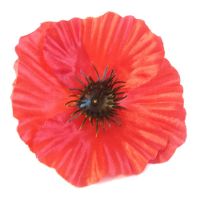 yМак Мак атласный 100шт