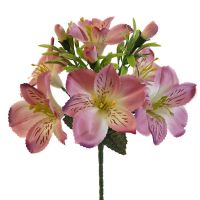 y391 Букет альстромерии 20шт