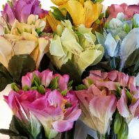 y391 Букет альстромерии 20шт