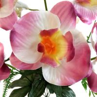 y5014 Орхидеи 32шт