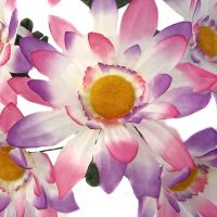 y6062 Ромашки цветные 20шт