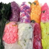 y6062 Ромашки цветные 20шт