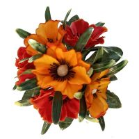 y374 Маки бордюрные Дуэт 30шт