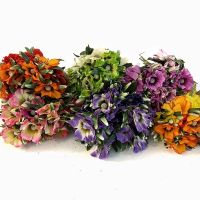 y374 Маки бордюрные Дуэт 30шт